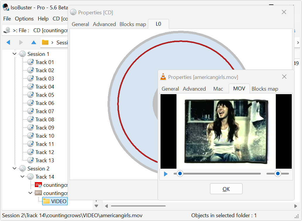 IsoBuster 5.6 Beta - 64 bit - Immagine